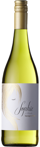 Vinho do Dia